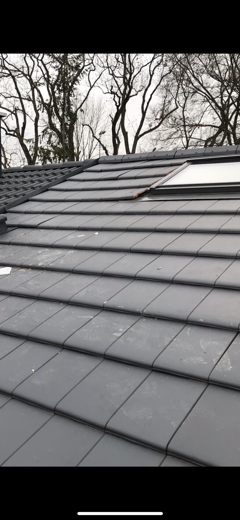 Dach aus grauen Metallziegeln mit Dachfenster; kahle Baumäste im Hintergrund.