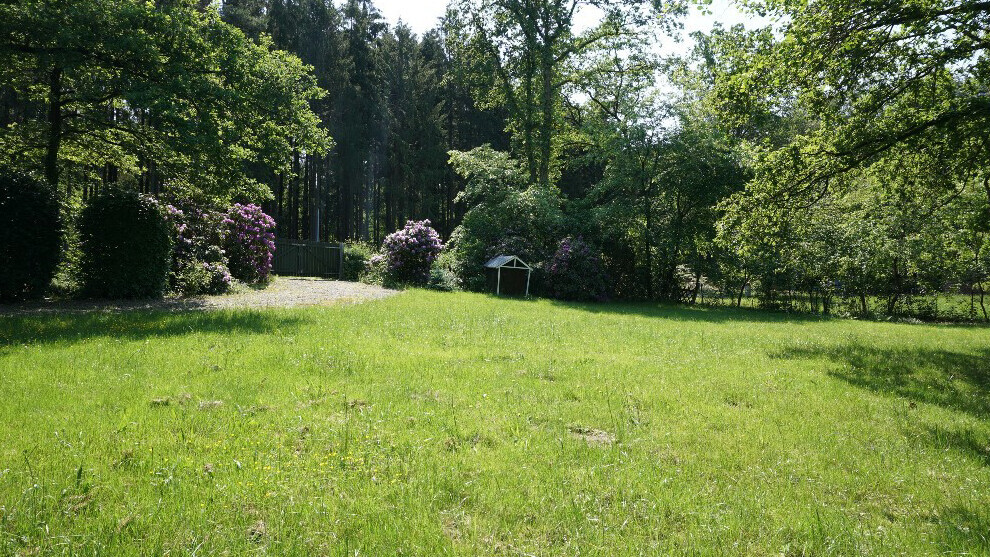 Grünes Grasfeld am Waldrand; Bäume, lila Rhododendren und ein kleines Gartenhäuschen im Hintergrund