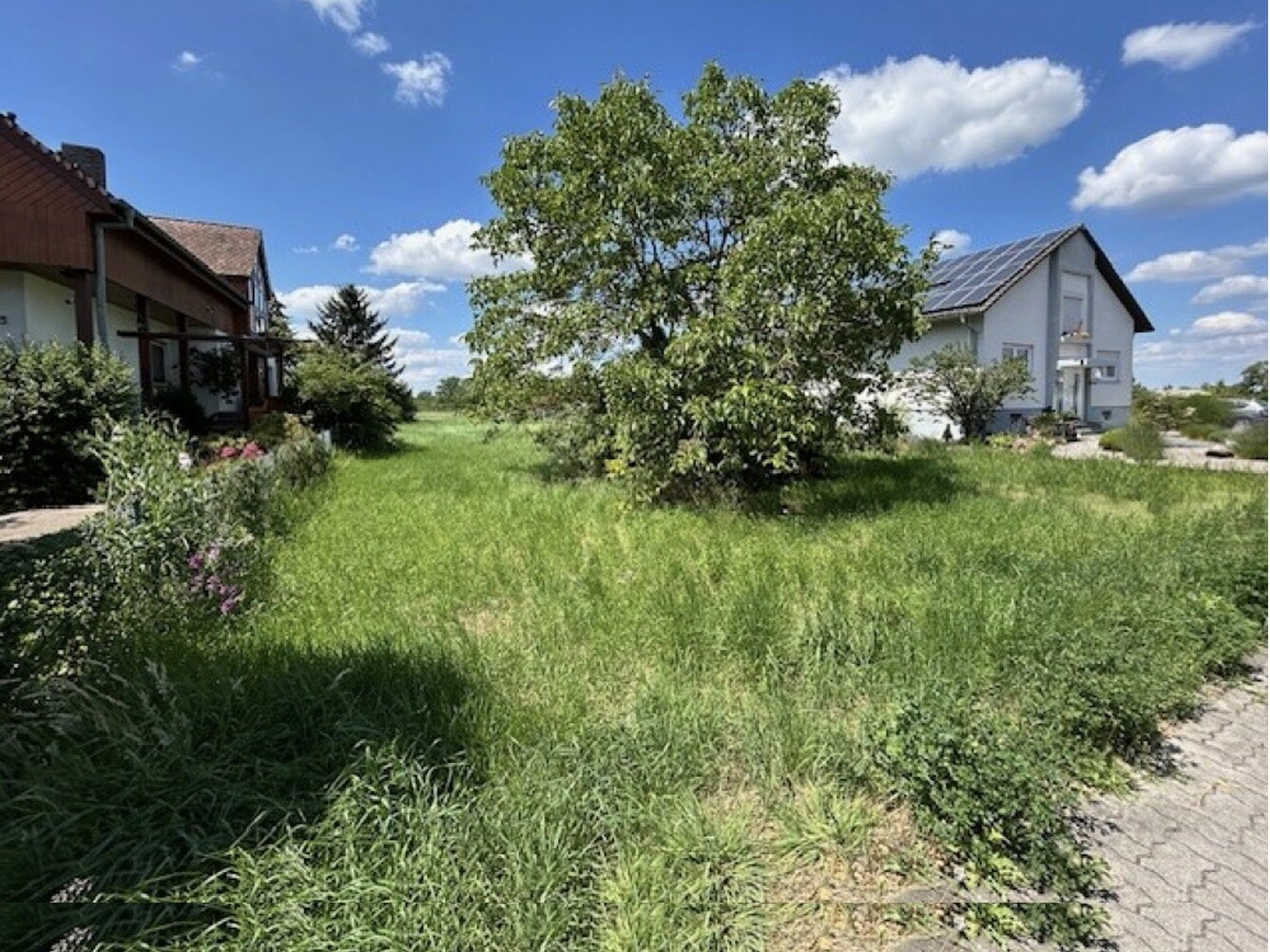 Grünes Gartengrundstück mit Baum in der Mitte, links Häuser, rechts Einfamilienhaus mit Solaranlage.