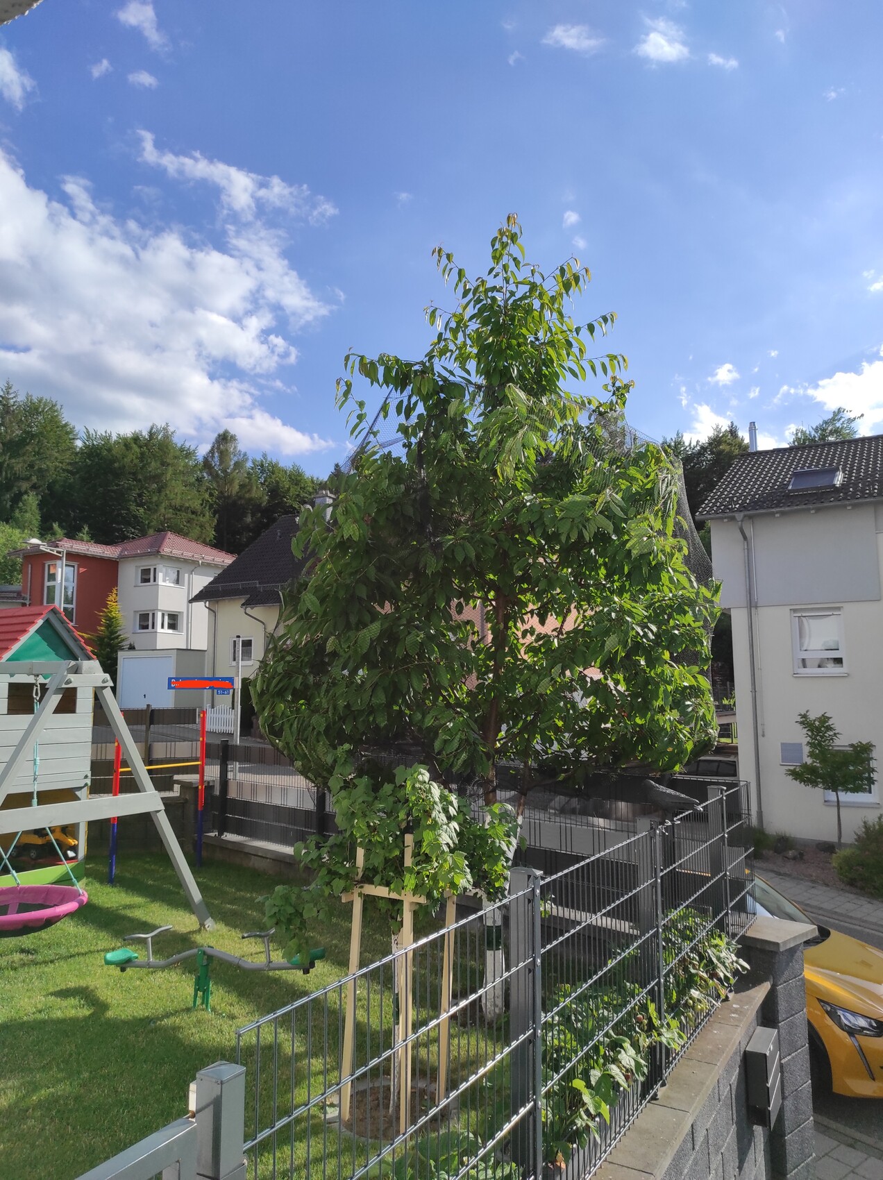 Großer Baum im Vorgarten, Spielplatz links, Häuser im Hintergrund, Zaun im Vordergrund.