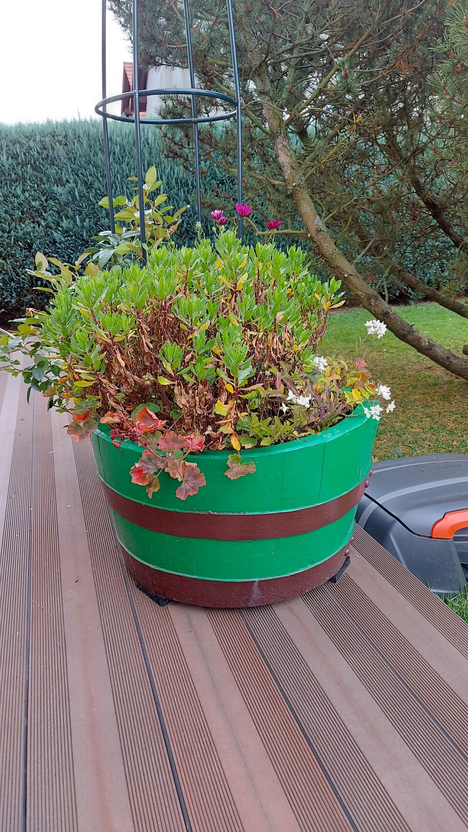 Große grüne Pflanzschale auf Holzterrasse mit trockenen Blättern und pinken/weißen Blüten.