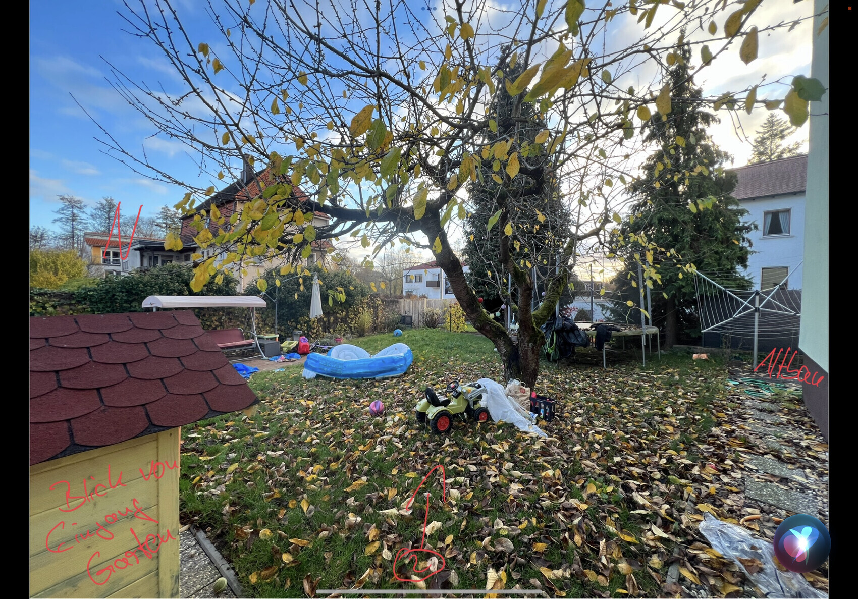 Garten mit großem Baum, Herbstblätter auf dem Boden, Spielzeugautos, Planschbecken und Wäscheleine.