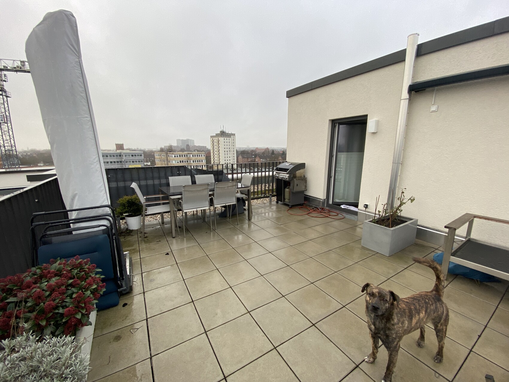 Dachterrasse mit Esstisch und Stühlen, Grill, Pflanzkübeln; braun gezeichneter Hund im Vordergrund; Stadtblick.