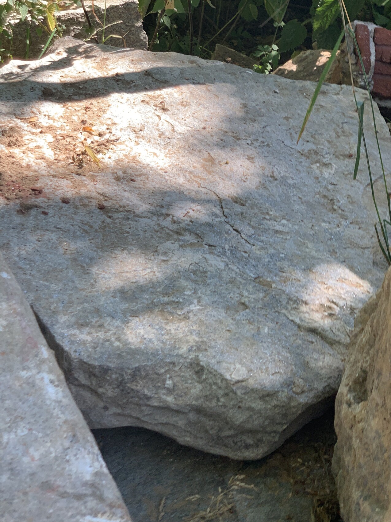 Großer flacher grauer Stein im Garten, umgeben von weiteren Steinen und Pflanzen.