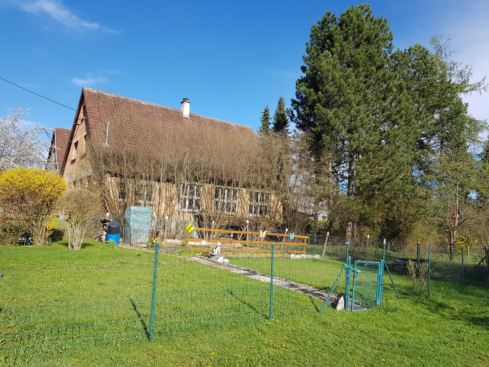 Einfamilienhaus mit rotem Ziegeldach, gruenem Garten, Zaun und baeumen im Vordergrund