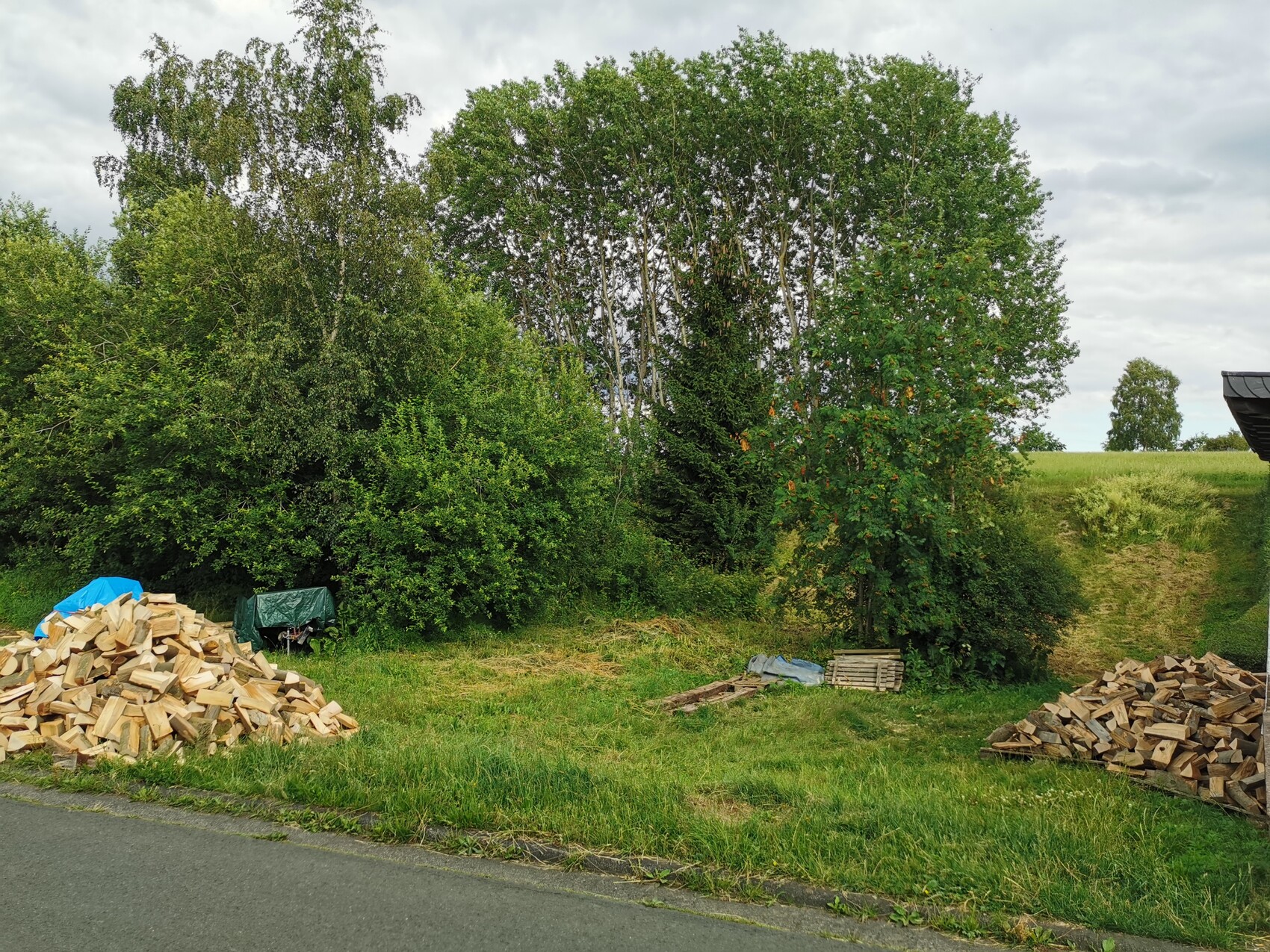 Holzscheite gestapelt links und rechts am Straßenrand; Bäume im Hintergrund.