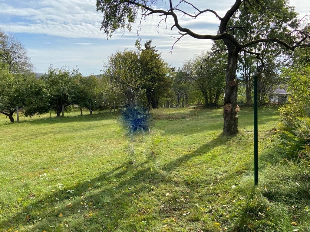 Garten mit Bäumen und Gras; in der Mitte eine transparente blaue Silhouette einer Person.