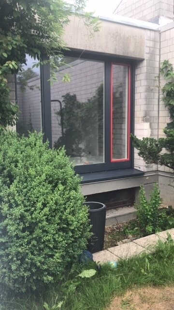 Großes Fenster mit schwarzem Rahmen in Betonwand, umgeben von Sträuchern und Gartenpflanzen.