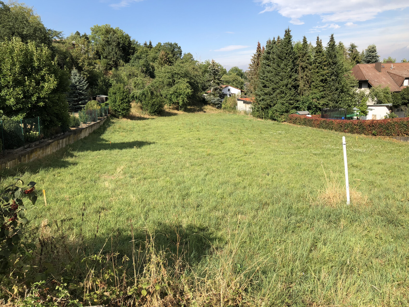 Weitläufiges Grasfeld mit Bäumen am Rand, Zaun links und Wohnhäusern im Hintergrund.