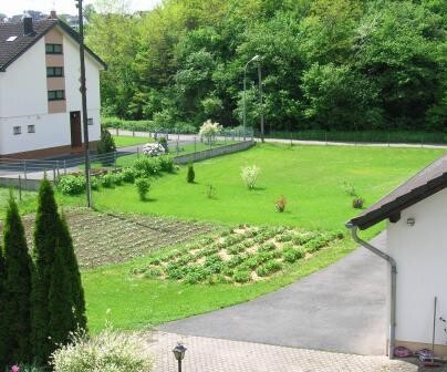 Grüner Gartenbereich mit Wiese, Bäumen, Zufahrt und Wohnhaus im Hintergrund