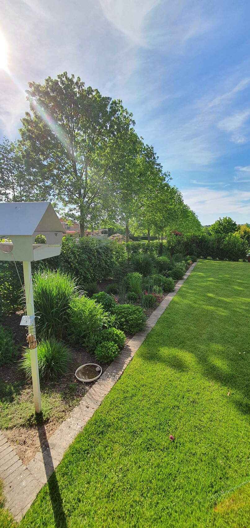 Gartenpfad mit grünem Rasen, großer Baum, heller Sonnenstrahl, weißer Briefkasten.