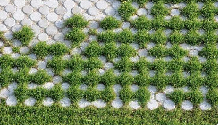 Gartenweg aus runden grauen Steinen, dazwischen grüne Grasbüschel wachsen.