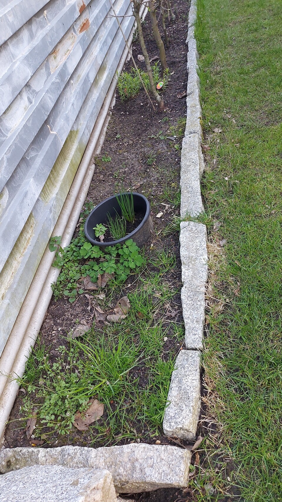 Gartenstreifen neben Steinwand; schwarzer Pflanzkübel mit Gräsern, Steinrand, Gras daneben.