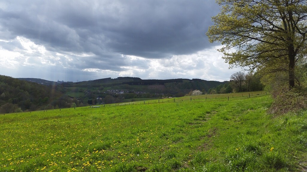 Grüne Wiesenlandschaft mit Bäumen, Hügeln und dunklen Wolken am Himmel.