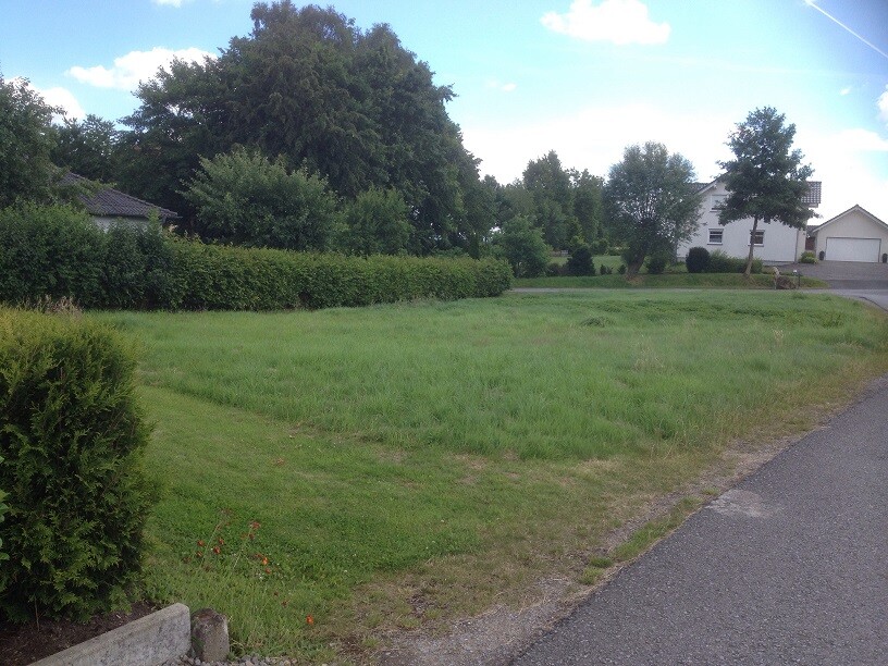Grüner Frontgarten mit Hecken, Bäumen und Straße vor Wohnhäusern