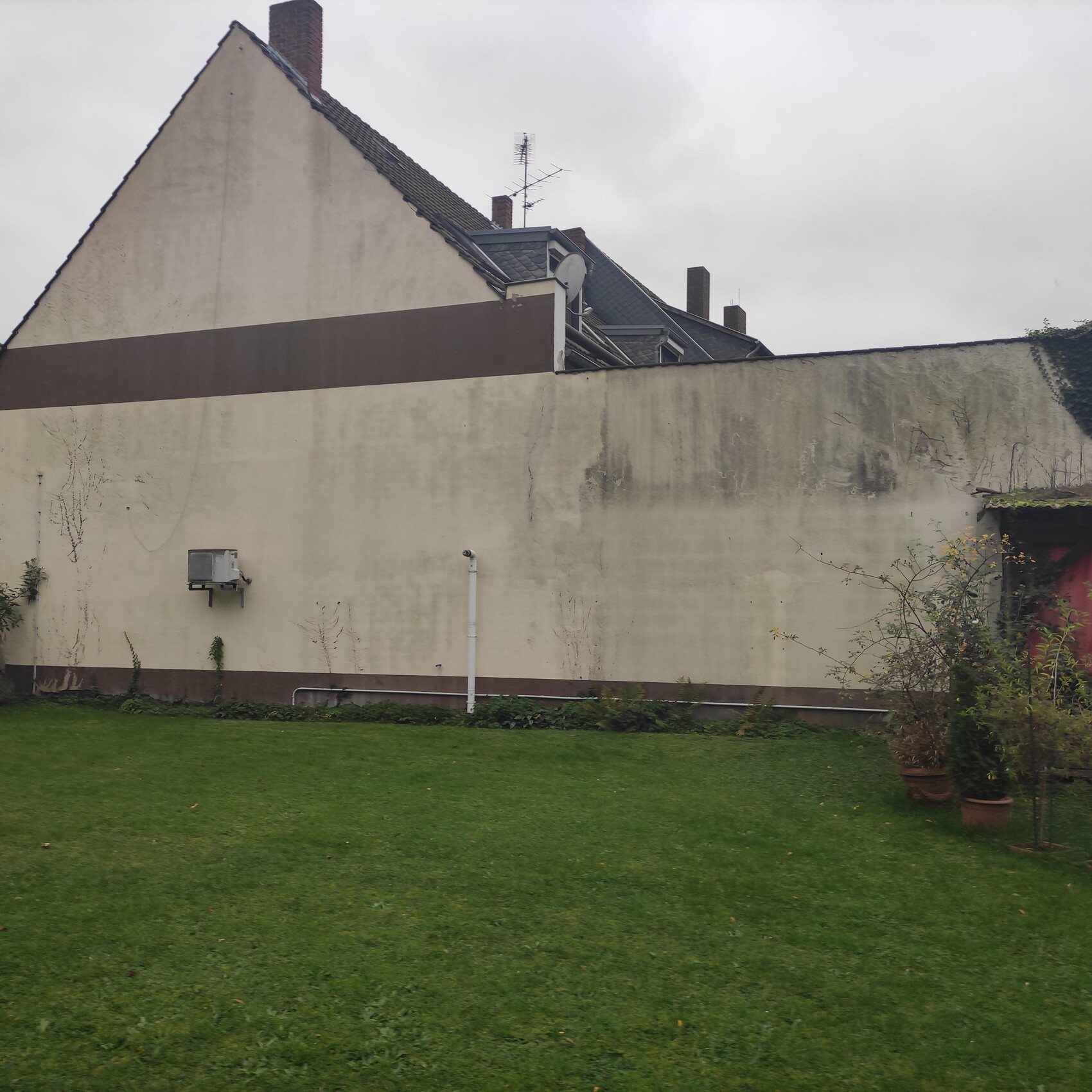 Garten mit grünem Rasen vor einer hohen beige Mauer; dahinter Dächer und Antennen.