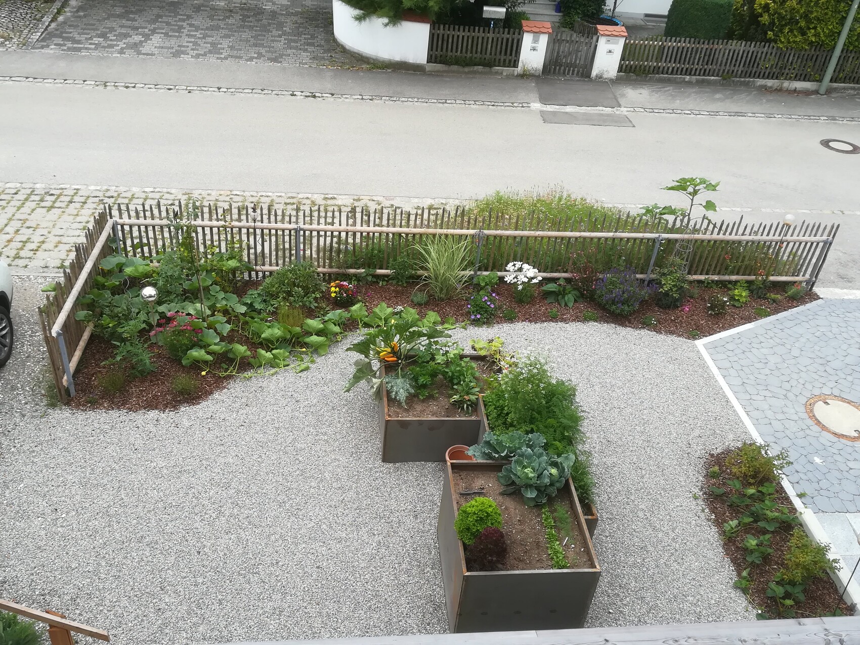 Vorgarten mit Holzzaun, Kiesboden, drei Hochbeeten und bunte Pflanzen.