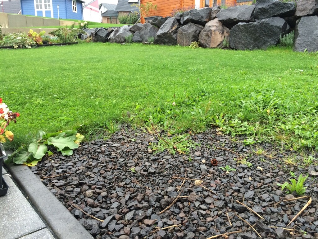 Garten: grasbewachsene Wiese, Kiesbelag im Vordergrund, Steinmauer und Häuser im Hintergrund.