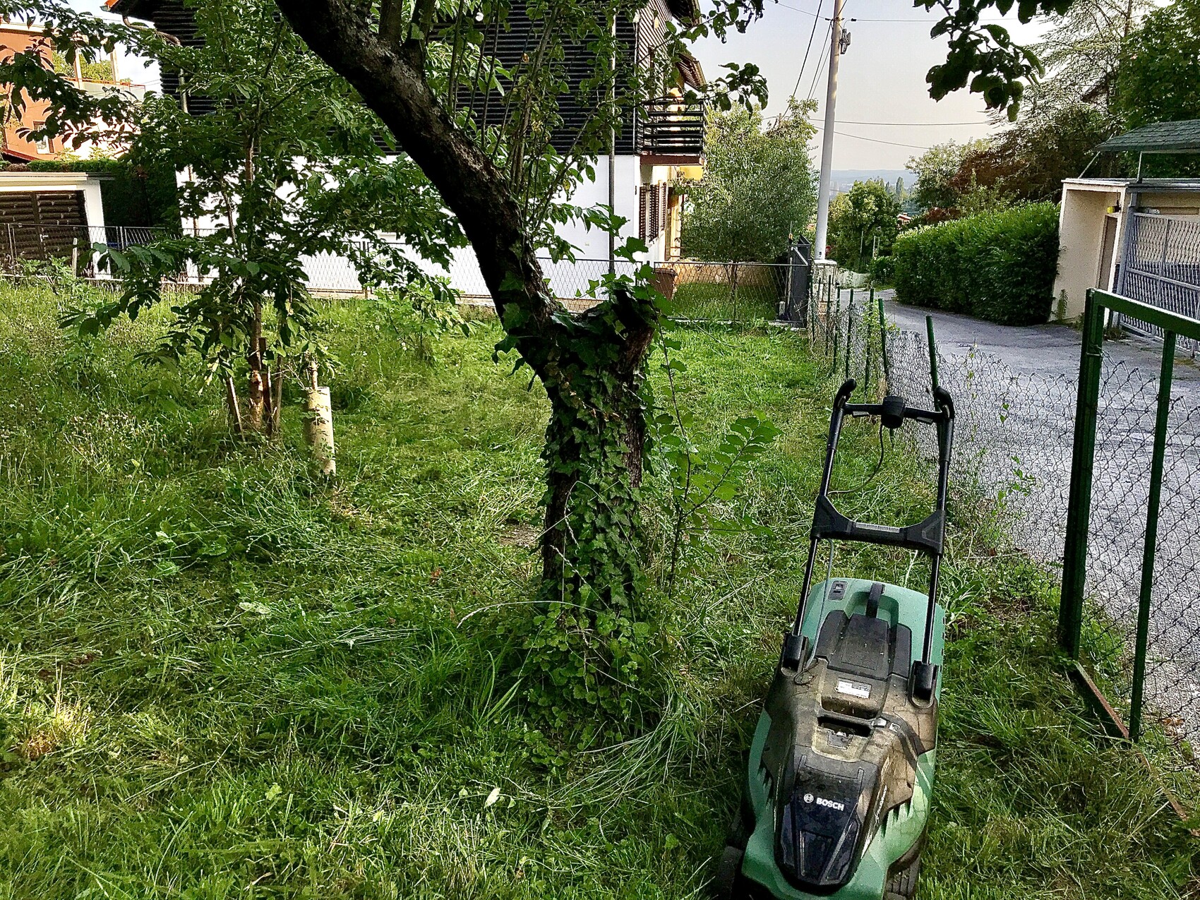 Garten mit grünem Rasenmäher neben Baumstamm, Zaun und Kiesweg.