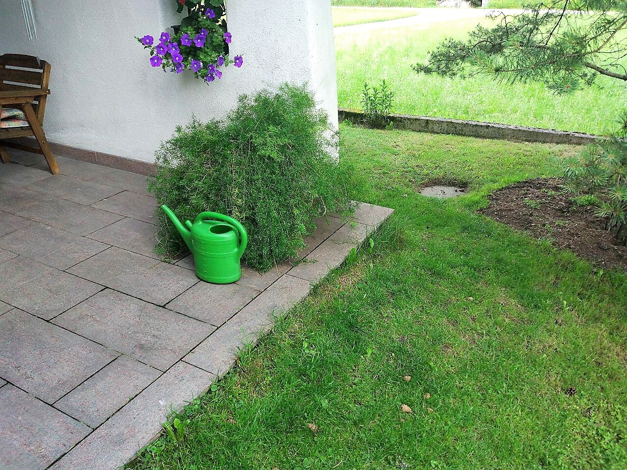 Gruner garten mit terrasse, grune wasserkanne, busch, haengende lila blumen neben der hauswand