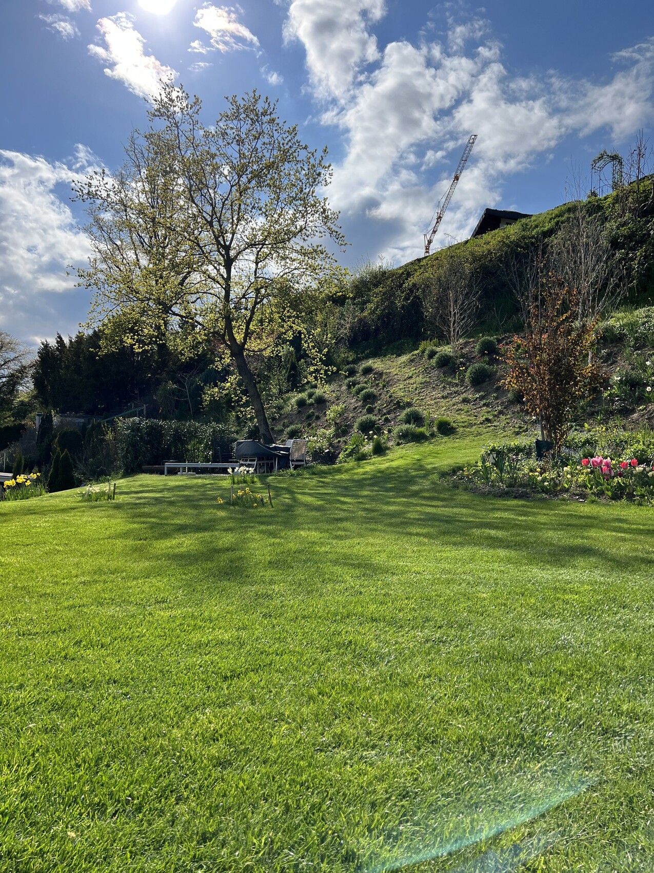 Grüner Garten mit großem Baum, Hang mit Sträuchern, Sitzbereich und Baukran im Hintergrund