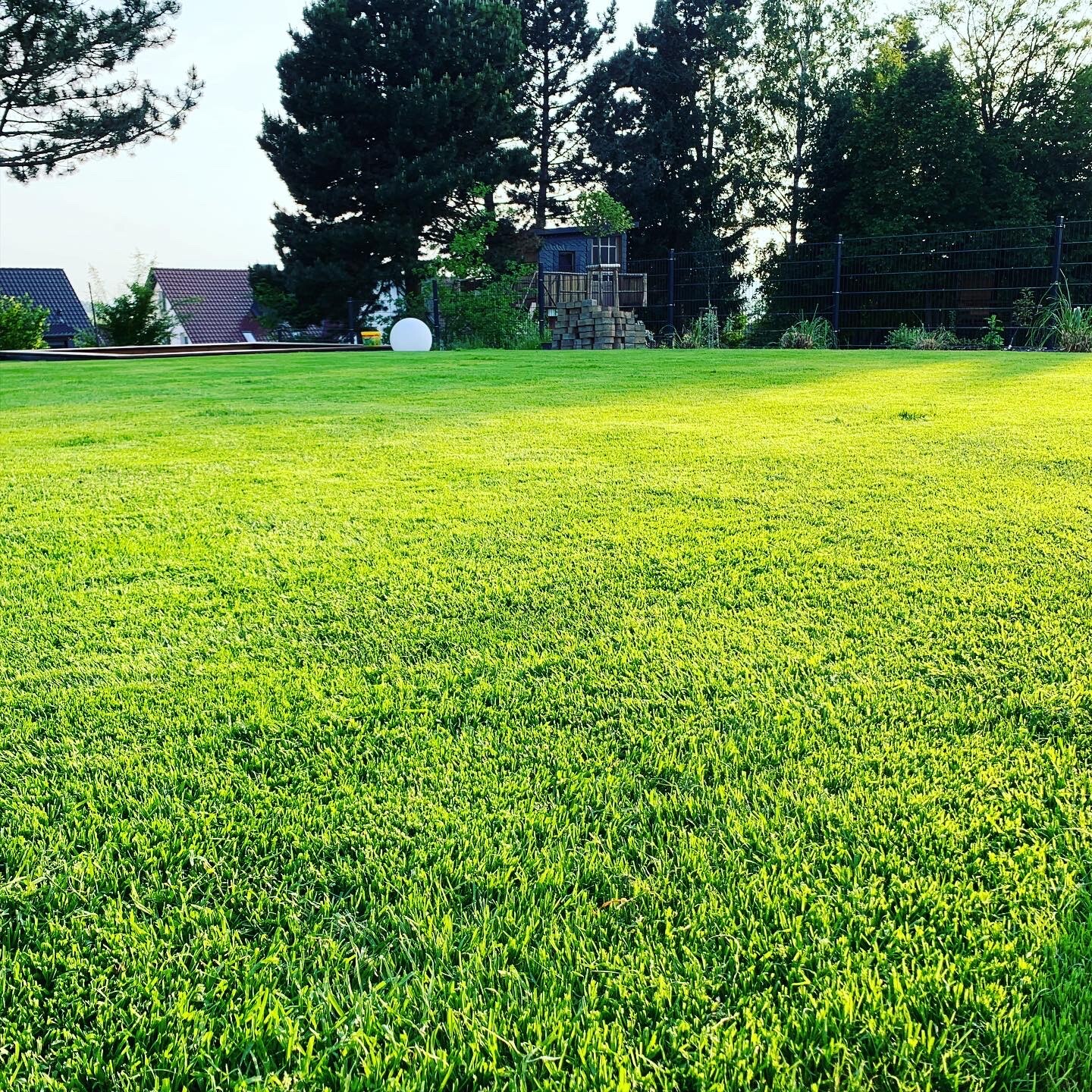 Grüner Rasen im Garten mit Zaun, Bäumen, Spielhäuschen und eine weiße Kugel im Hintergrund.