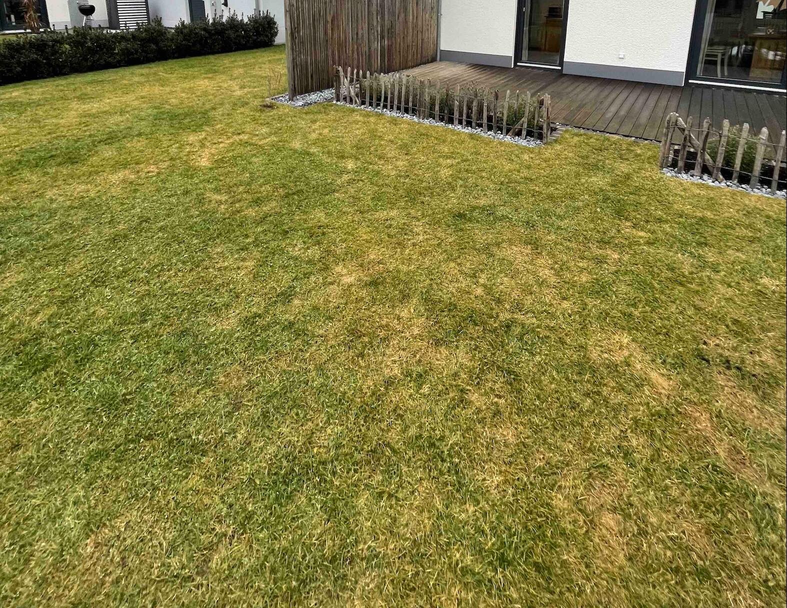 Garten mit grün-gelben Rasenflächen, Holzdeck am Haus, Kiesumrandung und kleinem Holzzaun.