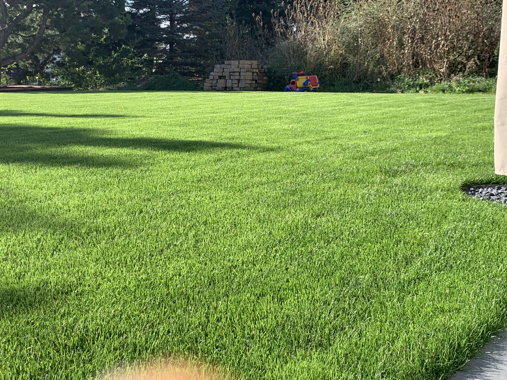 Grüner Rasen im Garten; Spielzeugauto im Hintergrund, Baulager und Bäume.