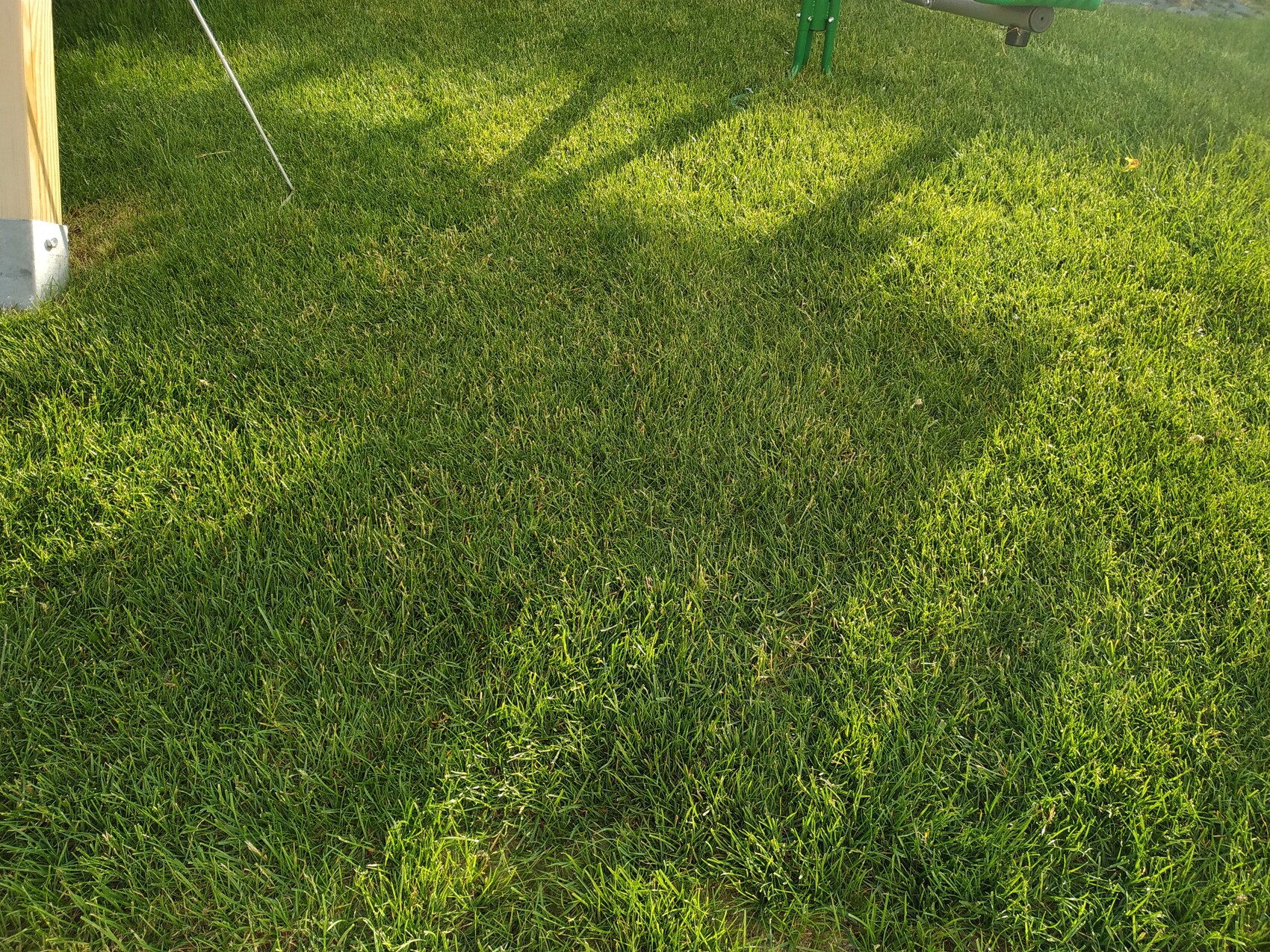 Gruner-Rasen-im-Garten-mit-Spielgeraet-Holzkonstruktion-am-linken-Bildrand