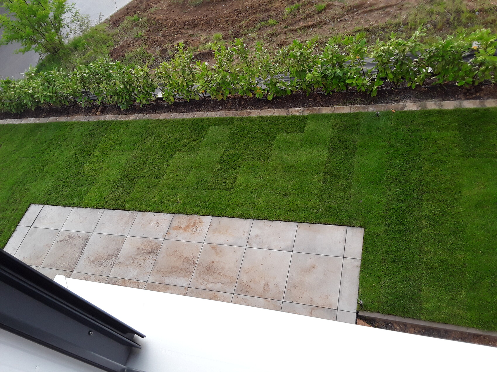 Fensterblick: Rasen mit Streifenmuster, Hecke am Rand, beige Fliesenfläche.