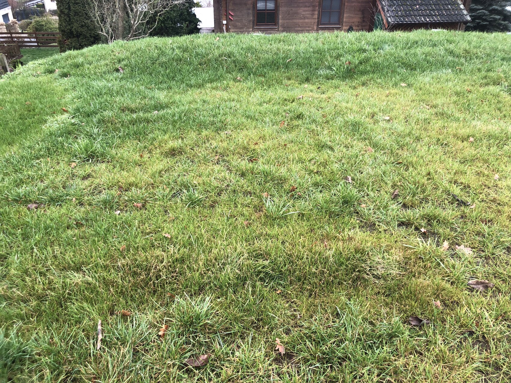Grüner grasbewachsener Hügel vor einem Haus mit Fenstern; unregelmäßige Grasflächen.