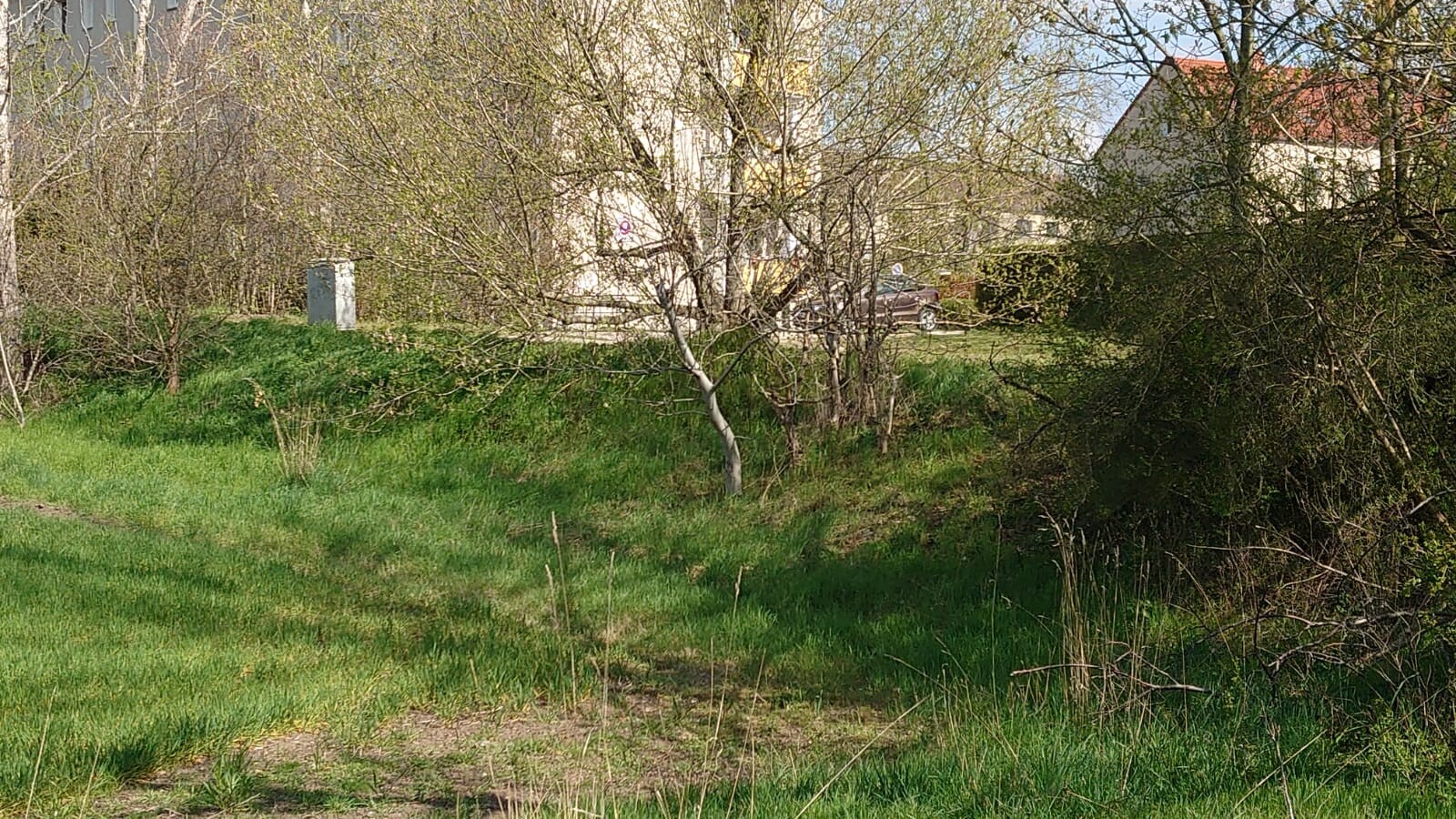 Grünes Grasfeld mit Bäumen, Haus im Hintergrund und geparktes Auto.