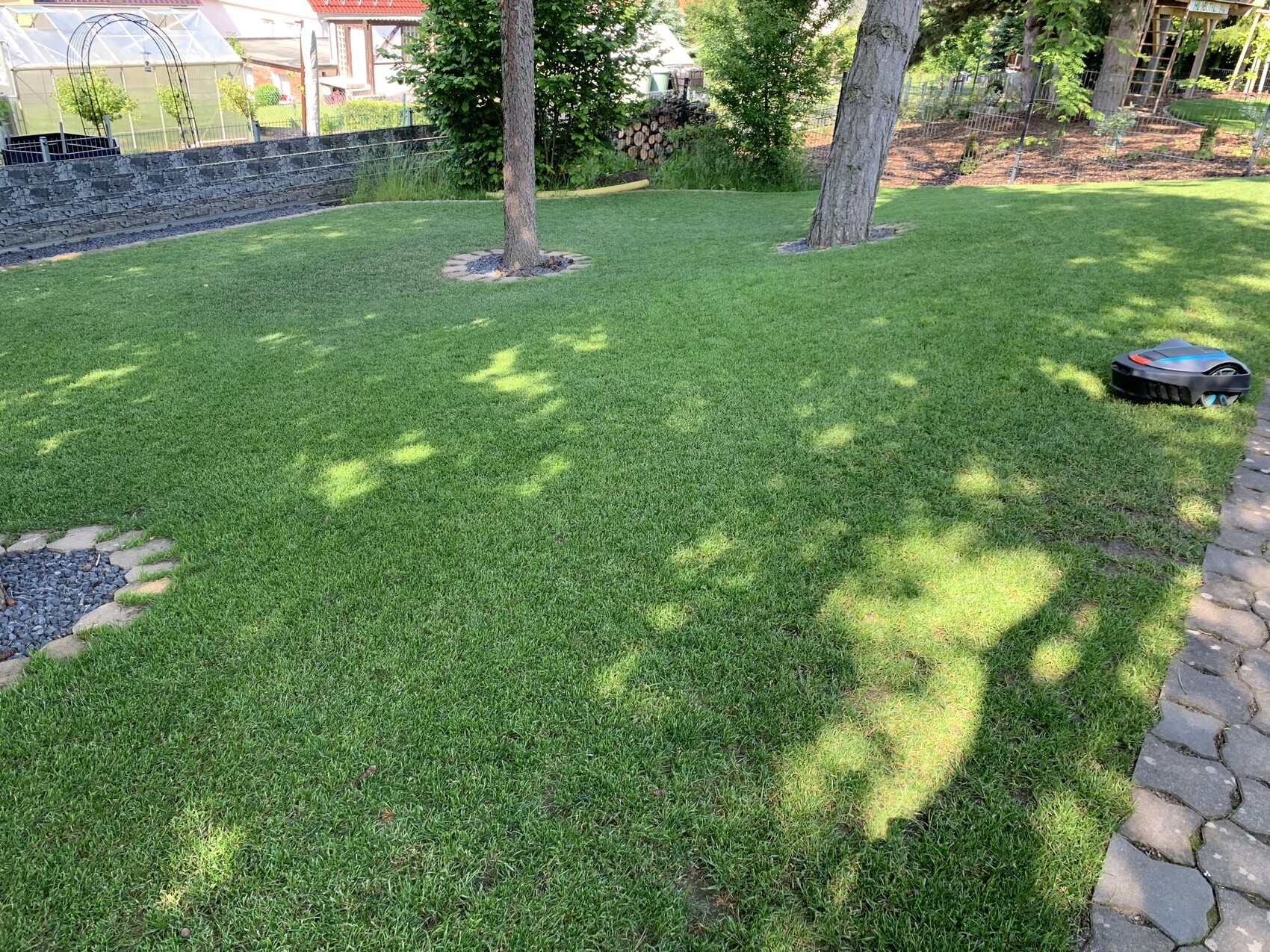 Grüner Rasen, zwei Bäume, Steinpfad links, Roboter-Rasenmäher rechts im Garten.