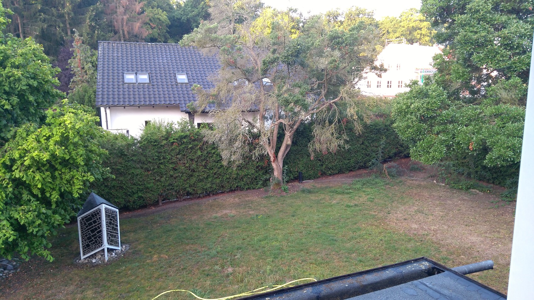 Garten mit grünem Rasen, Hecke und Baum, Haus mit grauem Ziegeldach im Hintergrund.