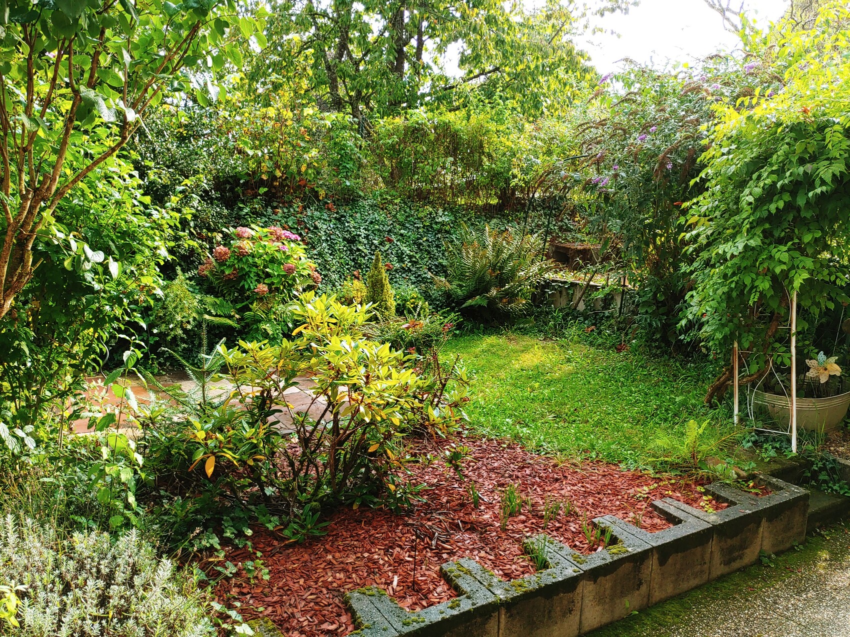 Üppiger Garten mit Grünpflanzen, rotem Mulch, Steinrandbeeten und rechts Kletterpflanze.