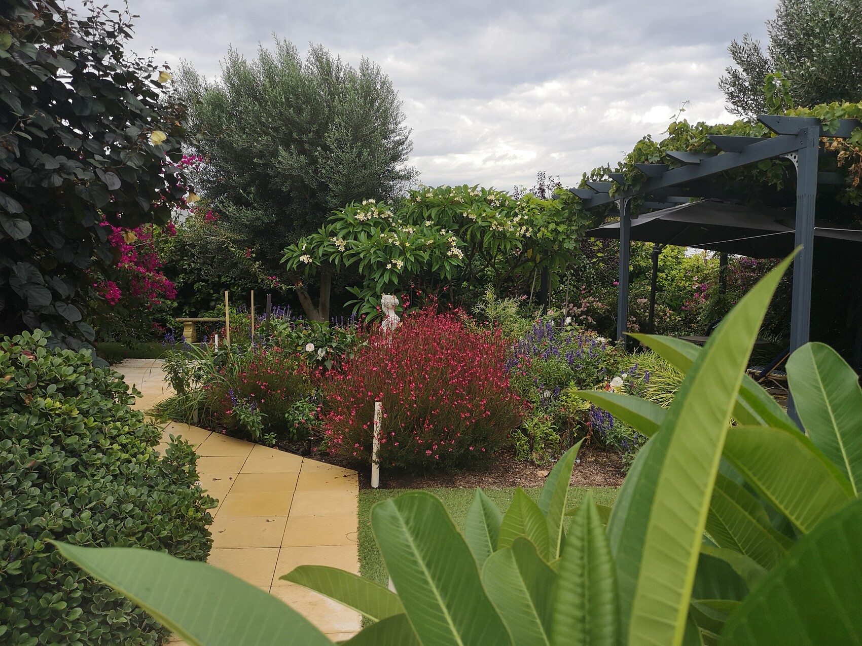 Garten mit gelbem Steinweg, bunte Blütensträucher, Pergola rechts, große Blattpflanzen vorne.