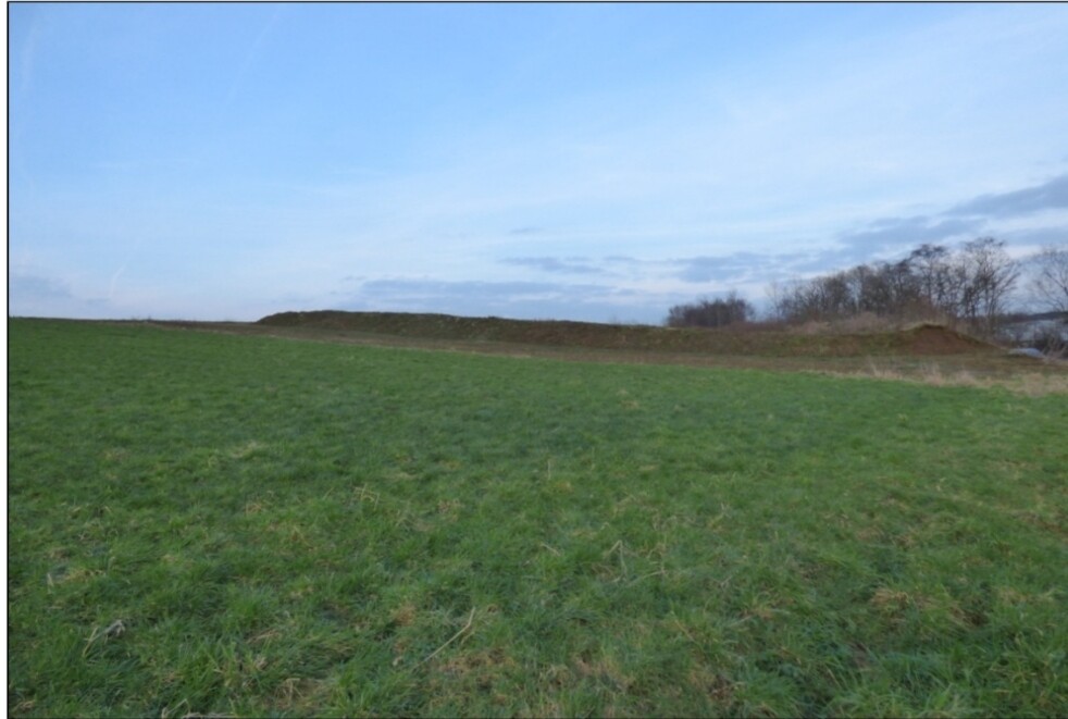 Grünes Grasfeld mit Erdwall am Horizont und Baumreihen im Hintergrund