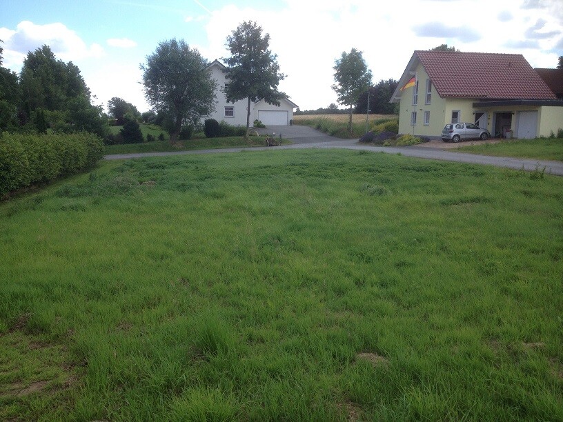 Grünes Grundstück mit Zufahrtsweg und angrenzenden Häusern