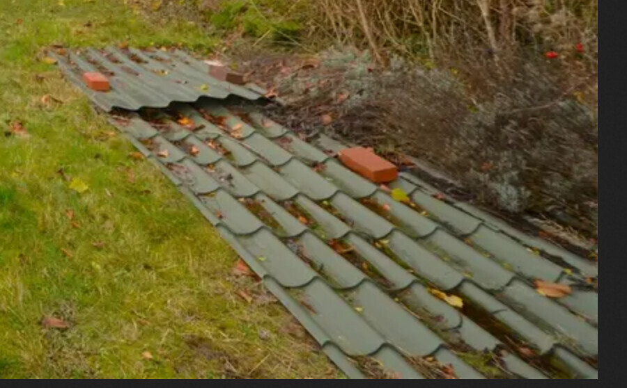 Gruenes welliges Dachblech mit Herbstlaub am Hang.