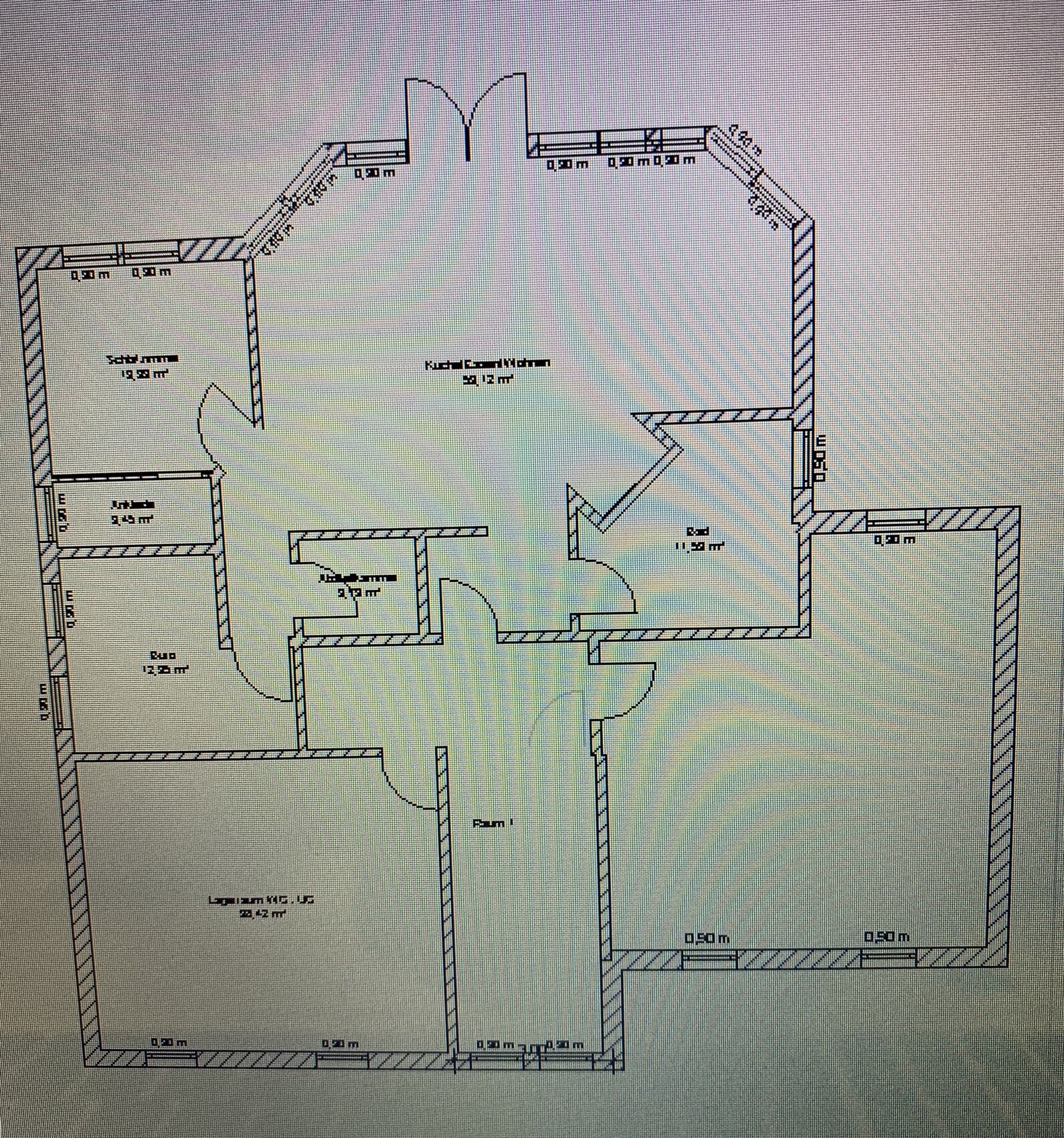 Grundriss einer Wohnung: offener Küchen-Wohnbereich, Bad, Flure, Türen und Fenster.