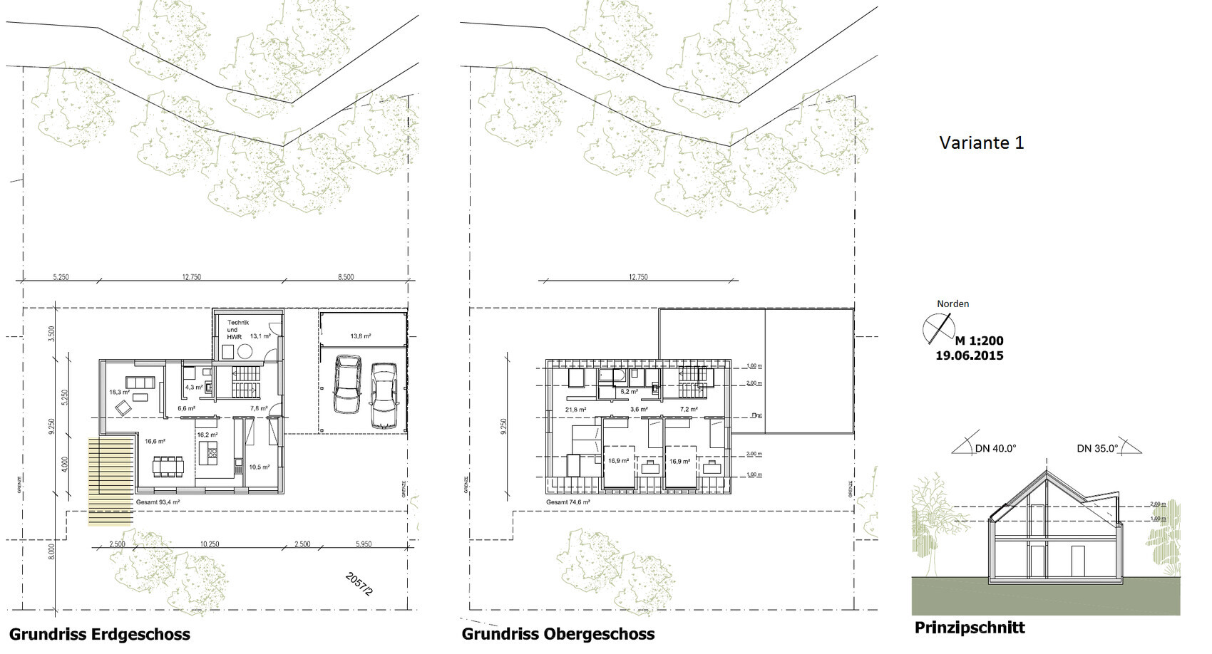 Architekturplan: Grundriss Erdgeschoss, Grundriss Obergeschoss, Variante 1 und Schnitt
