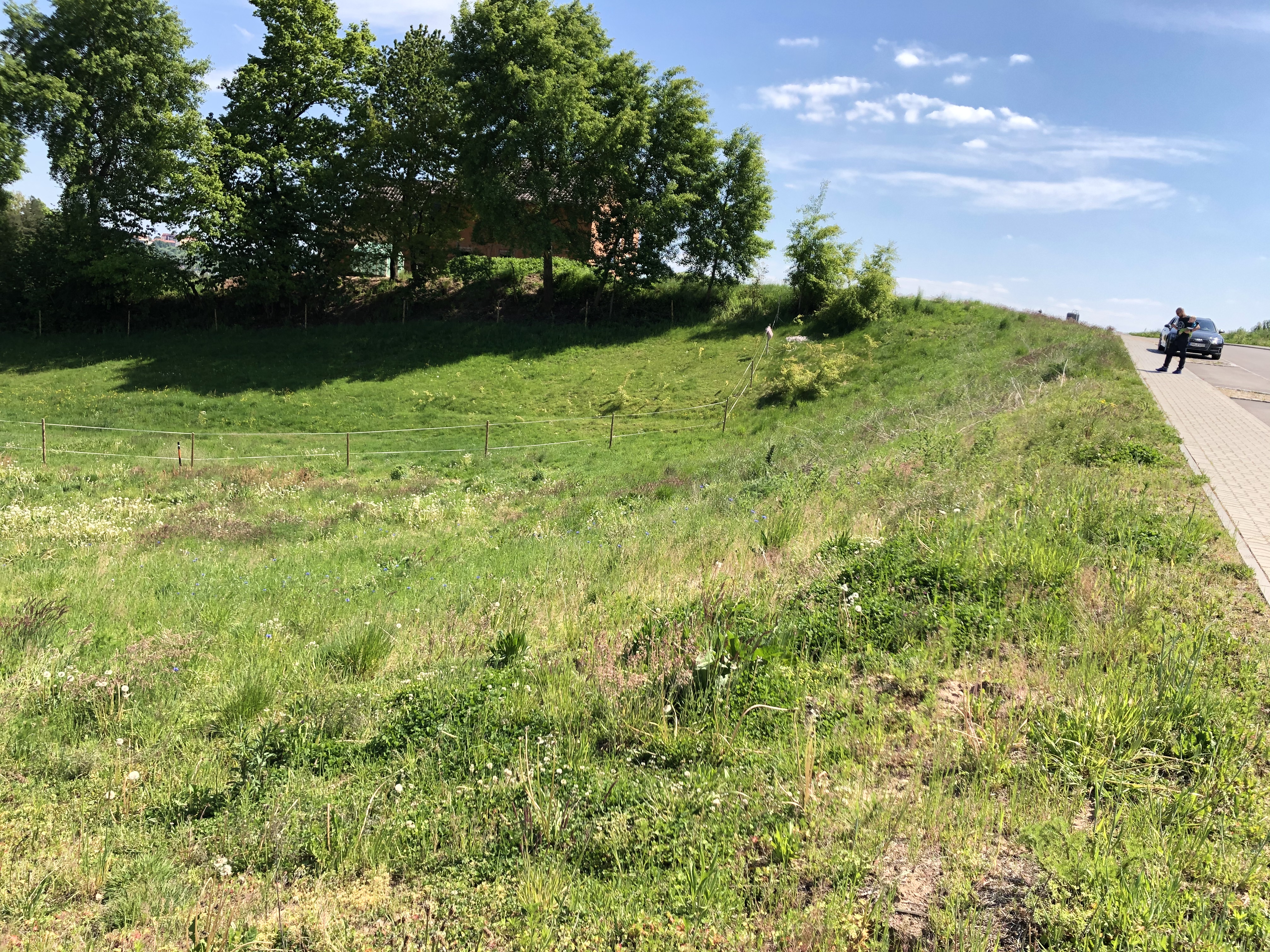 grundrissentwurf-efh-hanglage-450822-2.jpeg