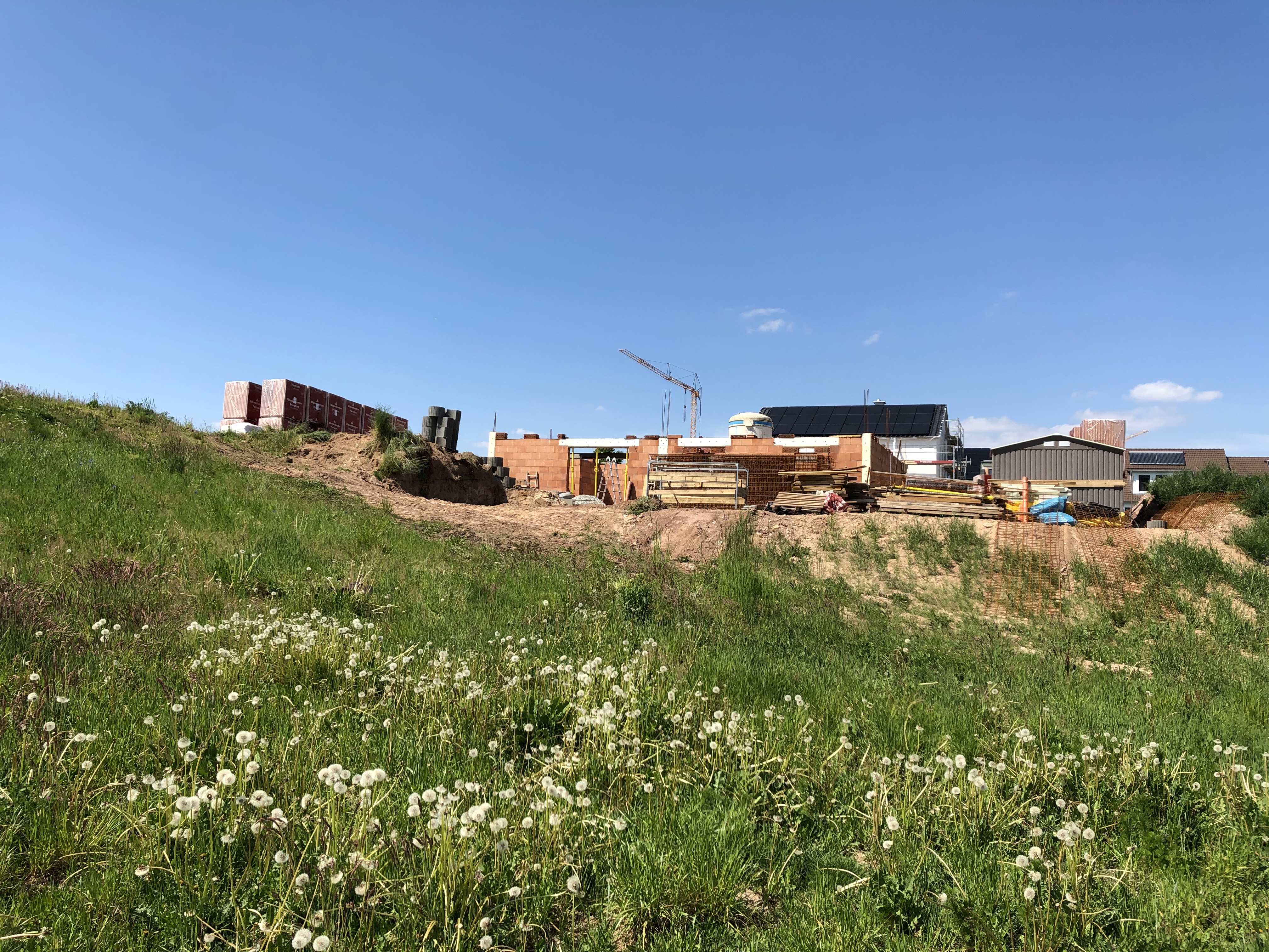 grundrissentwurf-efh-hanglage-450822-5.jpeg