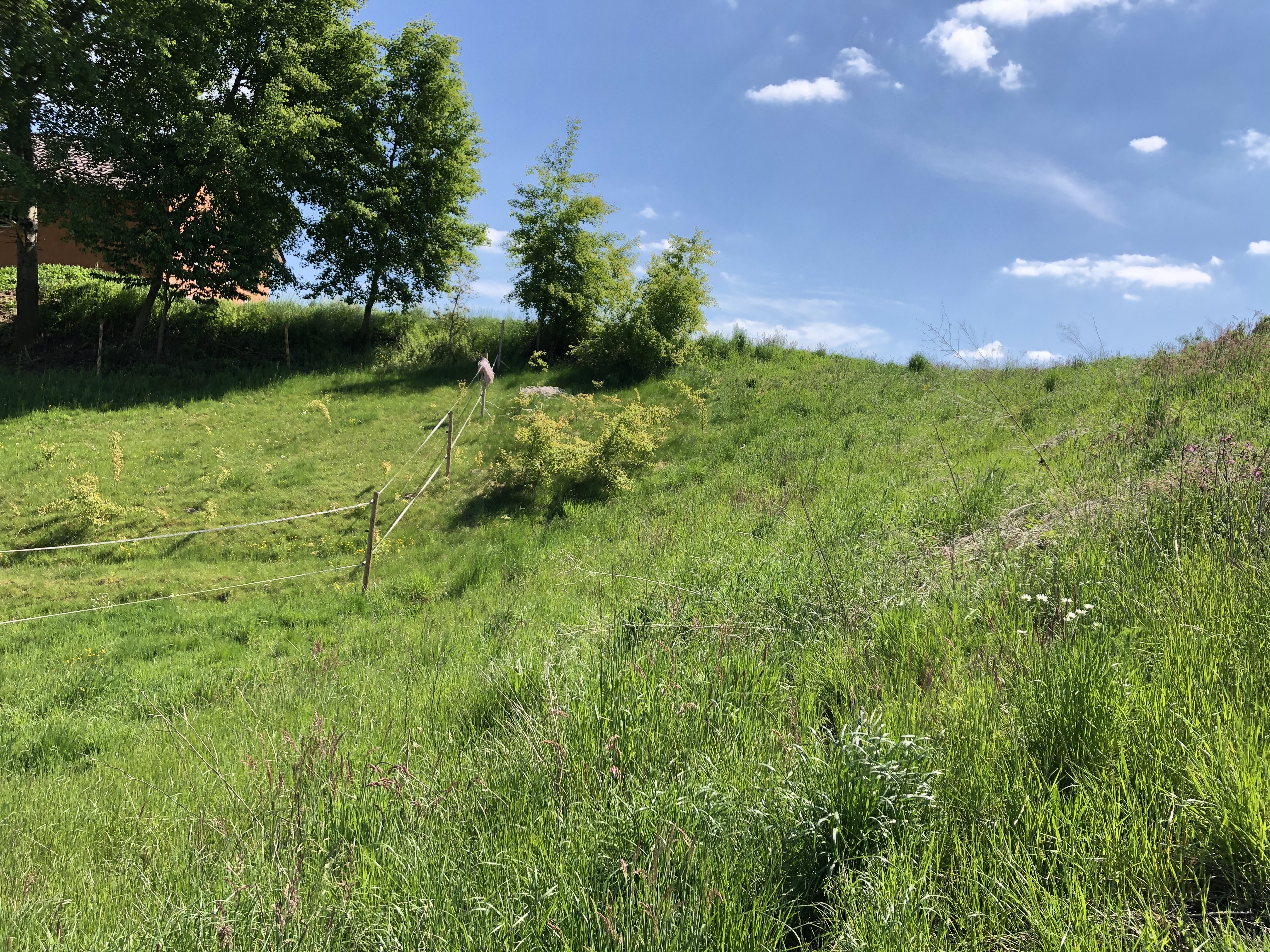 grundrissentwurf-efh-hanglage-450822-6.jpeg