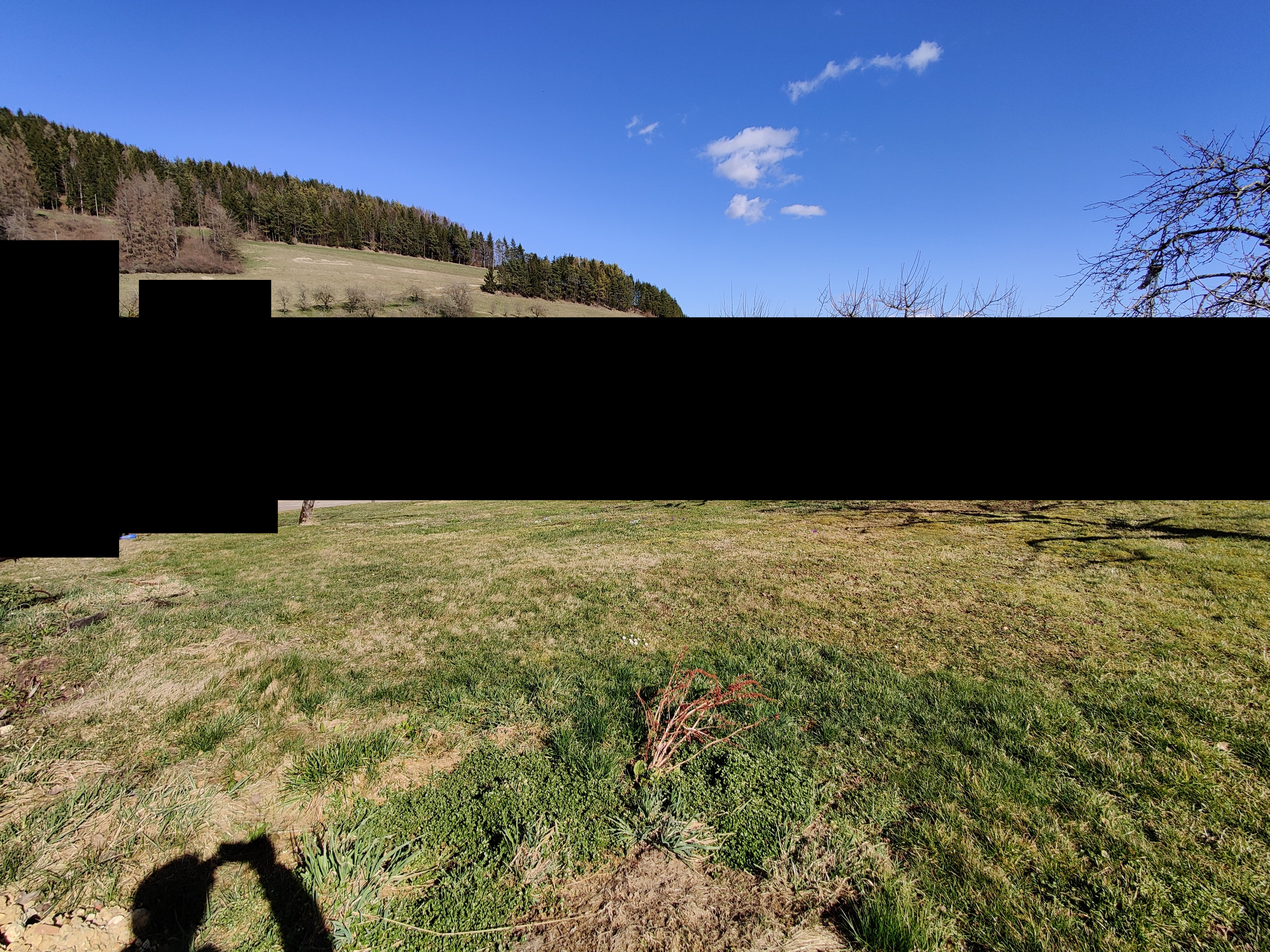 grundrissoptimierung-efh-in-hanglange-eingeschossig-keller-451665-2.jpg