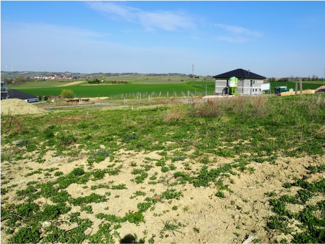 grundrissplanung-doppelhaus-17x10m-beste-raumausnutzung-274848-7.jpg