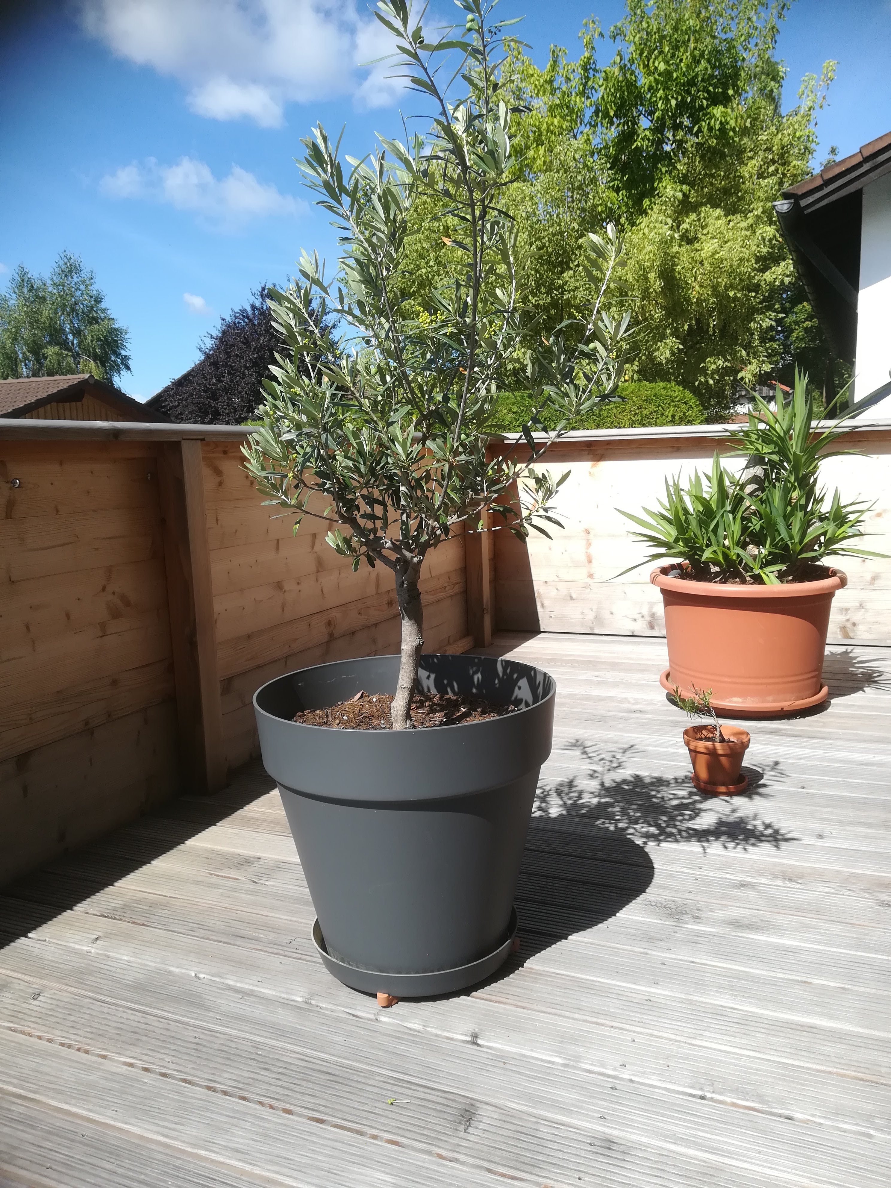 grundrissplanung-fuer-zfh-im-hang-428137-1.jpg