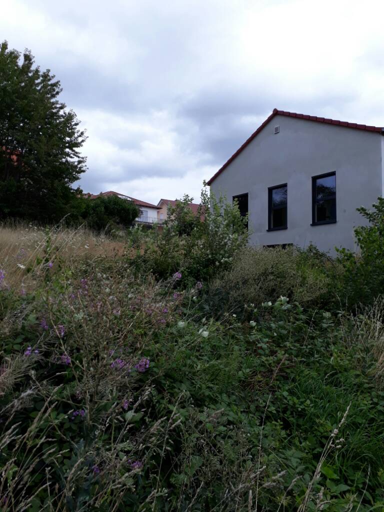 grundrissplanung-hanghaus-mit-5-kinderzimmer-216529-2.jpg