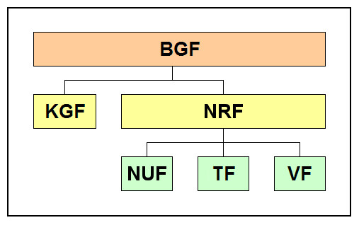 Organigramm: BGF an der Spitze, darunter KGF und NRF; NRF fuehrt NUF, TF, VF