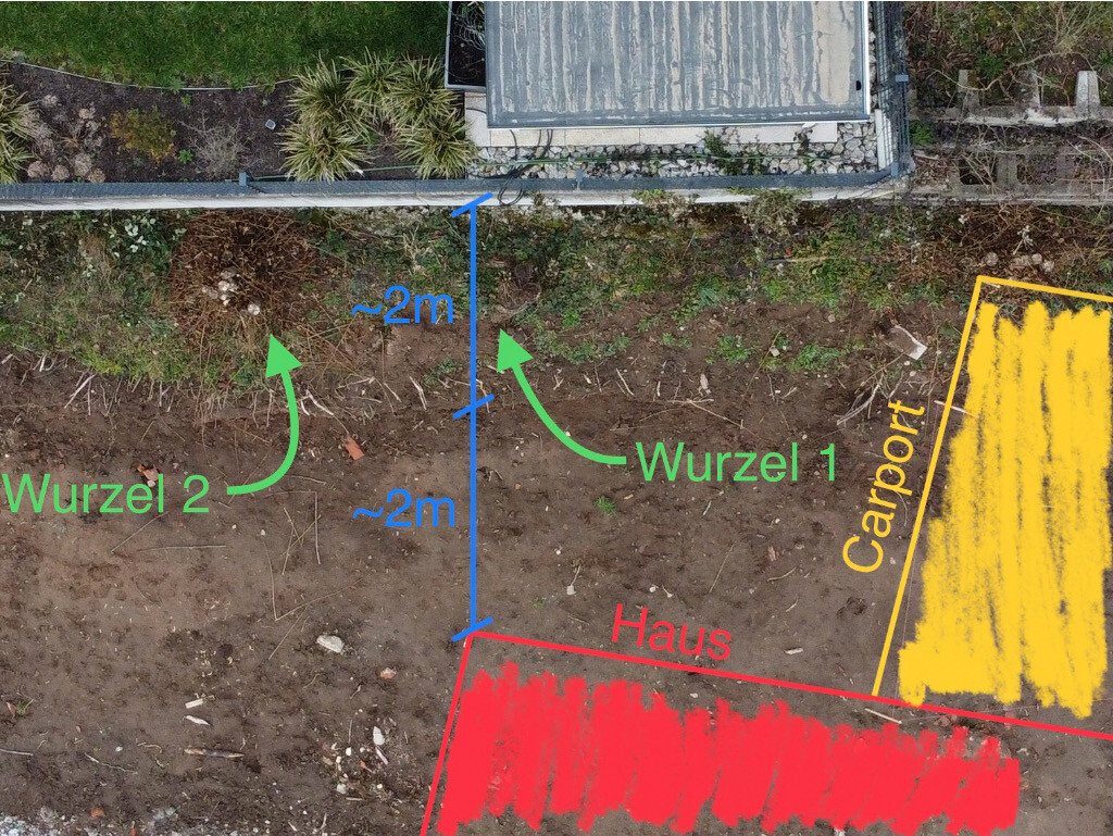 Luftbild eines Baugrundstücks mit Hausumriss, Carport und Wurzeln.